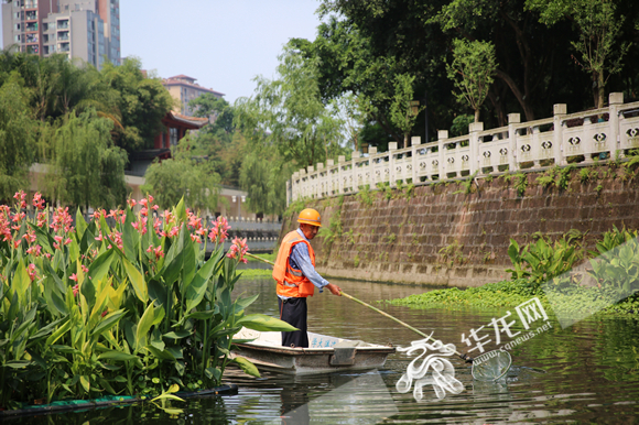 4清漂工在红旗河棠城公园段清漂。华龙网-新重庆客户端记者 张颖绿荞 摄