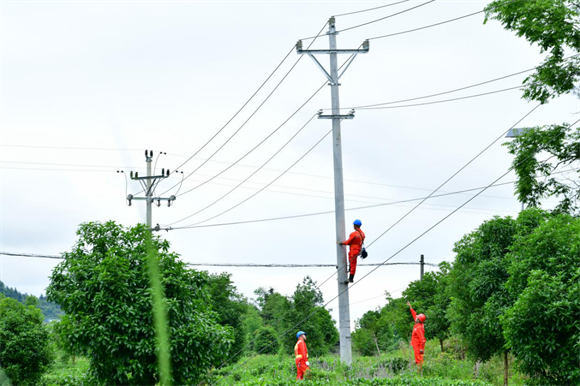 5月10日，国网重庆秀山供电公司员工排查10千伏梅旺线旺黄支线线路设备缺陷。万雪莲摄 华龙网发