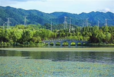 6一朵朵金黄的荇菜花，或聚或散，漂浮于湖面，为公园增添了几分魅力。记者 熊 伟 摄