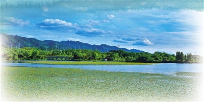 1蓝天白云下的双桂湖湖面上，荇菜花开，碧波荡漾。记者 熊伟 摄　