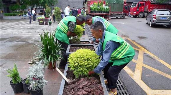 工人们忙着栽种景观植物。通讯员王淼供图