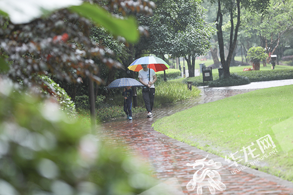 今日，重庆中心城区雨水继续。华龙网-新重庆客户端 首席记者 李文科 摄