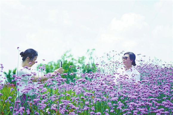 游客在南山植物科普园拍照。记者 王雨诗 李海 实习生 陈于香 摄