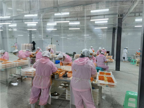 食品加工厂里工人们正忙着串肉串。