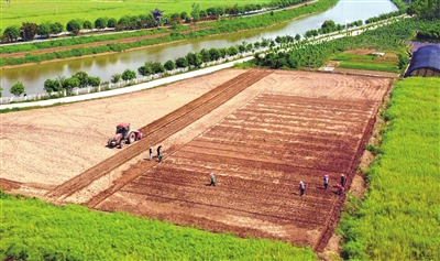 云龙镇人民村，村民们在种植大豆、玉米，一派繁忙景象。通讯员 向成国 摄
