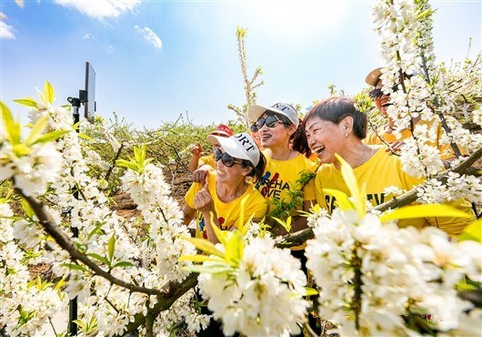 今年赏花季期间，在远雪农场赏花的游客带动了当地经济发展。南川区委宣传部供图 华龙网发