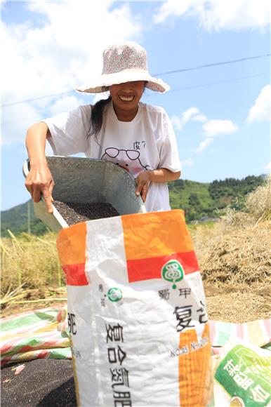 溶溪镇村民正在把筛油菜籽装袋。通讯员 胡程 摄