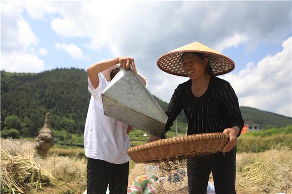 溶溪镇村民正在筛油菜籽。通讯员 胡程 摄