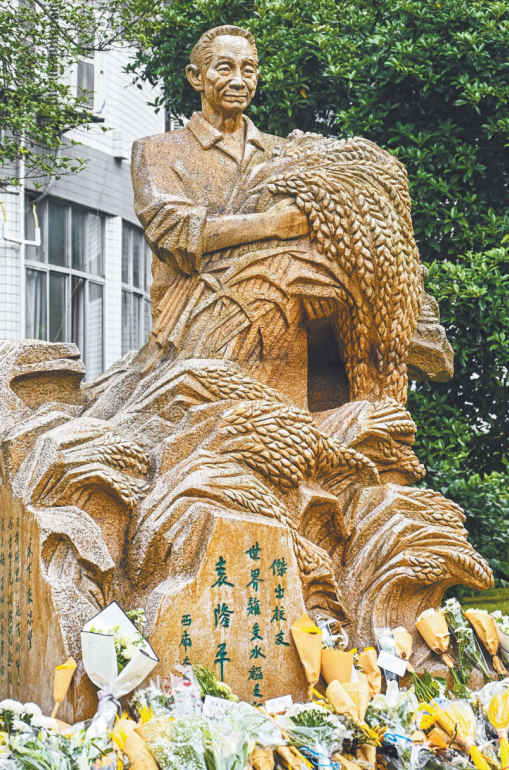 袁隆平雕像前的花海图片