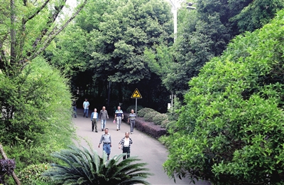 2石马山公园，市民在游玩。记者 向成国 摄