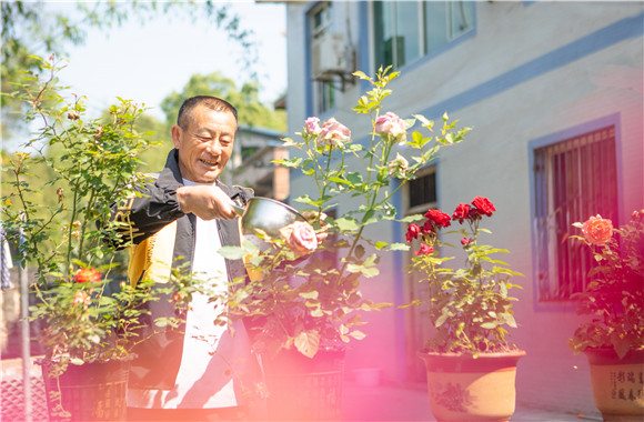 2安澜镇石板垭村村民在家门口种植鲜花，改善人居环境。通讯员 方霞 摄