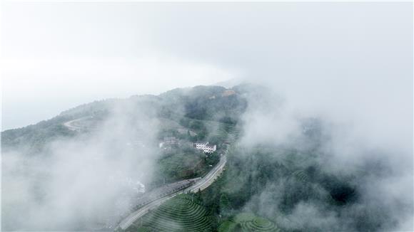 1雨后的茶山竹海景区云雾缭绕。通讯员 陈仕川 摄