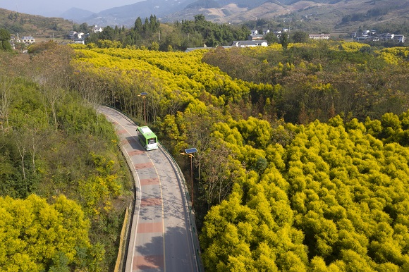 2021年11月26日，一辆公交车行驶在重庆市北碚区柳荫镇东升村农村公路上（无人机照片）。秦廷富  摄