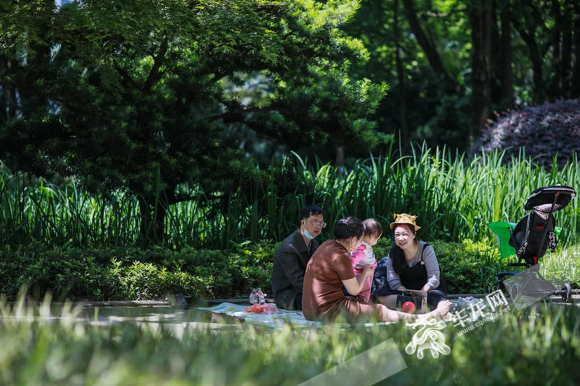 鹅岭公园内，不少市民带上野餐垫在公园享受阳光。华龙网-新重庆客户端记者 李裕锟 摄
