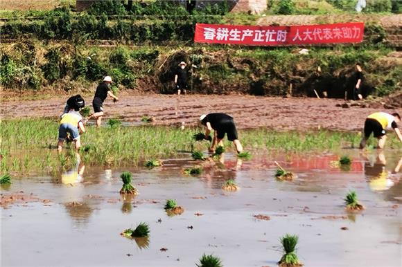 一派繁忙景象。通讯员 吕晓琴 供图