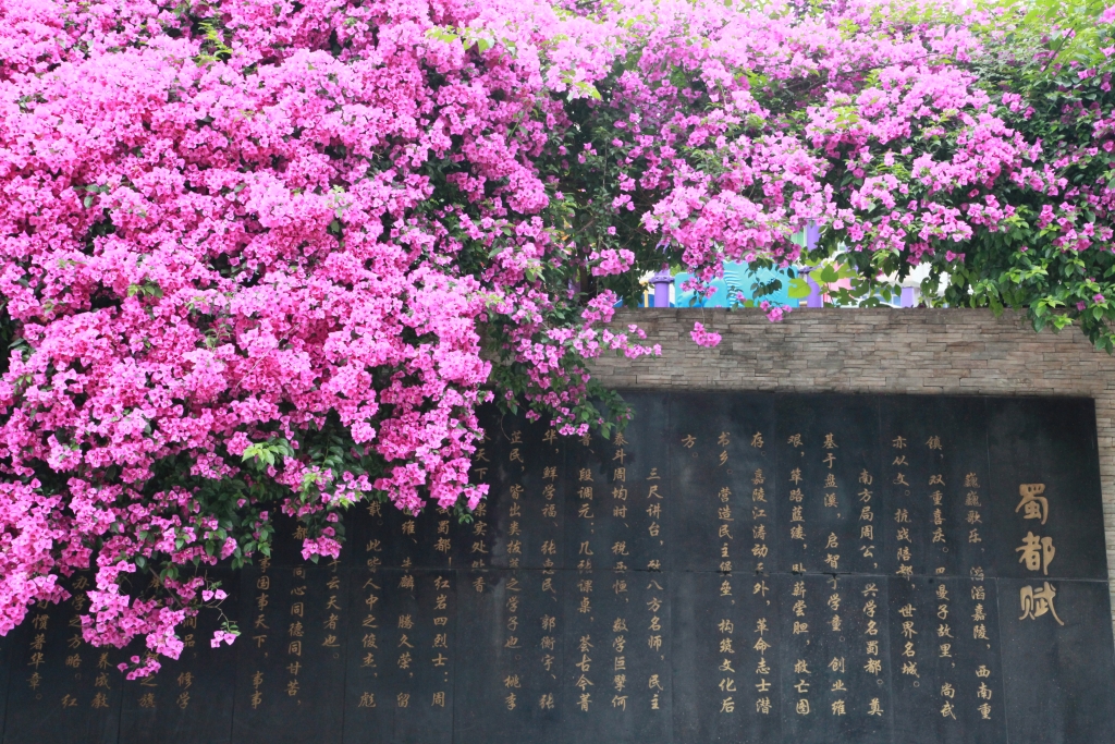 image023