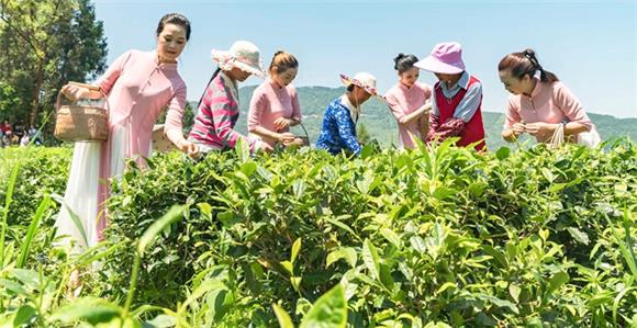 游客在茶叶产业园体验采茶乐趣。丰都县农业农村委供图 华龙网发