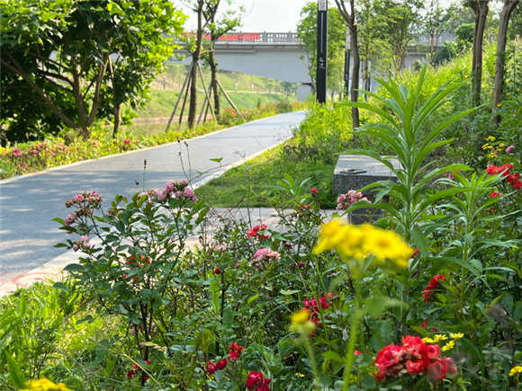 鲜花掩映下的花溪河绿色生态步道。通讯员 彭怡 摄