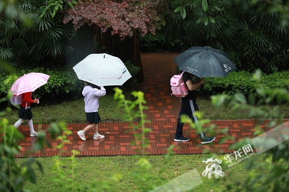 今日早上，两名小学生在大人陪同下冒雨上学。华龙网-新重庆客户端首席记者李文科摄