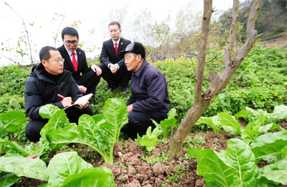 李严深入田间与村民交谈。云阳县委宣传部供图 华龙网发