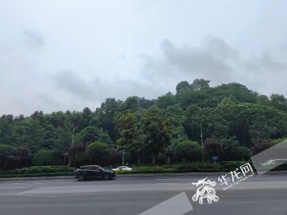 重庆中心城区今天是阴雨天气，体感温度凉爽。华龙网-新重庆客户端记者 石涛 摄