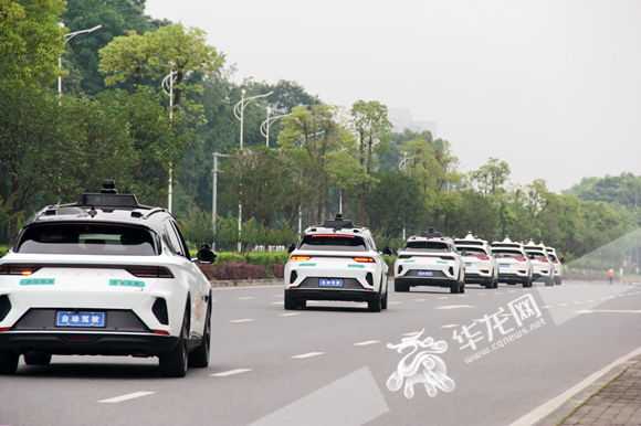 百度自动驾驶轿车行驶在永川城区路上。华龙网-新重庆客户端 张颖绿荞 摄