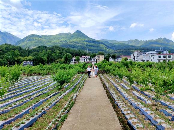 巫溪尖山镇图片