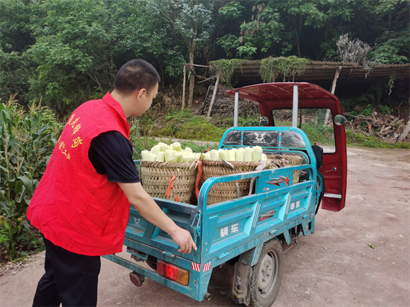 苟溪桥村党员志愿者帮助农户搬运玉米。王家街道苟溪桥村供图 华龙网发