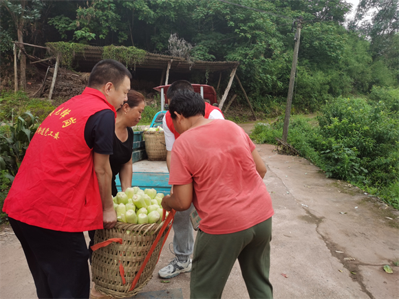 苟溪桥村党员志愿者入户搬运玉米。王家街道苟溪桥村供图 华龙网发