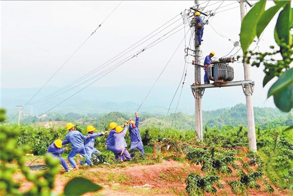 电力工人为三新村花椒园立电杆、架设电线。杨青 摄