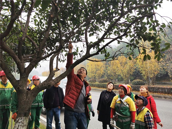 3赵胜利与园艺工们分享树木管护经验。（资料图）巴南区园林绿化建设管理所供图 华龙网发