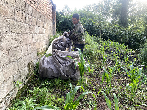 村民在收集废弃农膜 。通讯员 王厚川  摄