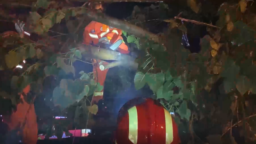 3消防员清理倒伏的树木。璧山消防供图