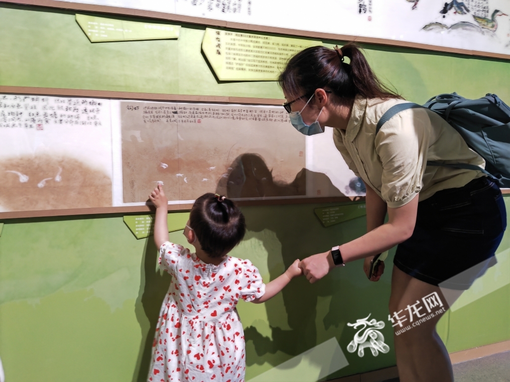 视频 | 童心绘自然 这场展览带你领略长江之美