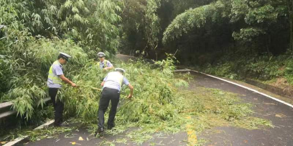 5民警清理公路边倒下的竹子。璧山区警方供图
