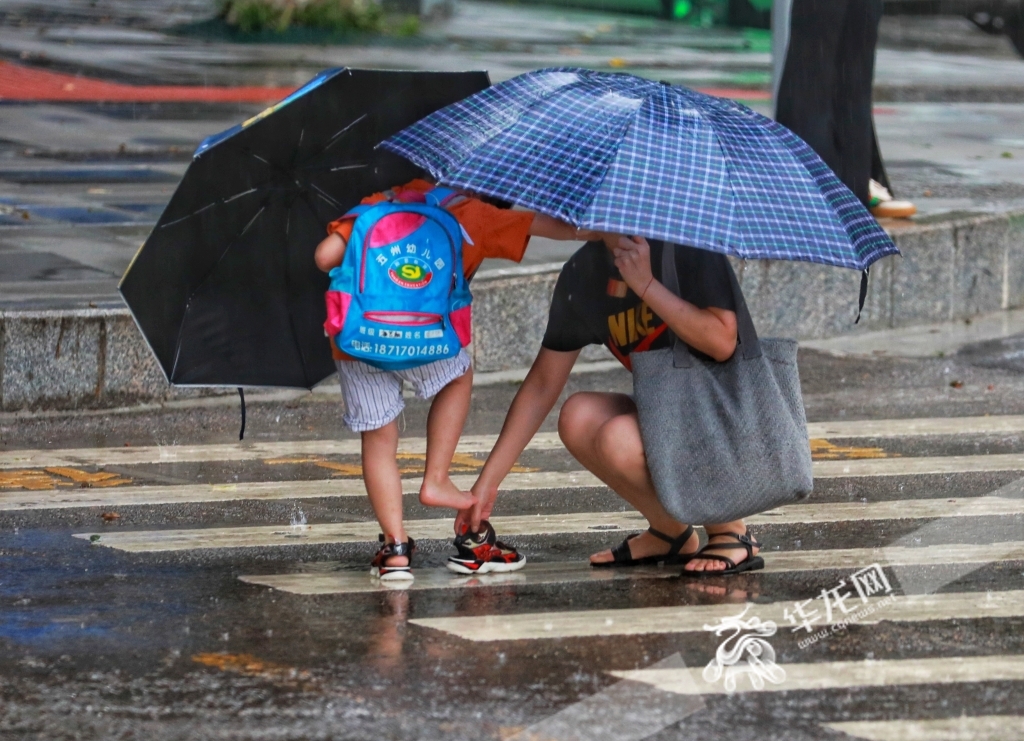 上学路上，一孩子凉鞋进了异物，妈妈在雨中蹲下身为其处理。华龙网-新重庆客户端记者 张质 摄