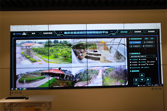 重庆移动联合成研院在忠县打造智慧农业监测平台。重庆移动供图 华龙网发