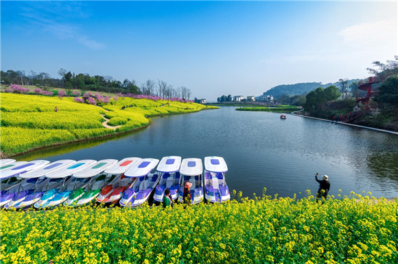 今年2月份，巴南区空气质量实现全月达标。巴南区生态环境局供图 华龙网发