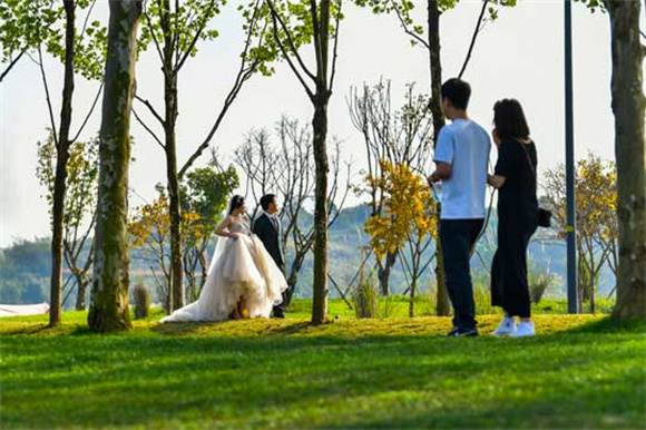 新人来广阳岛拍摄婚纱照。记者 崔景印 摄