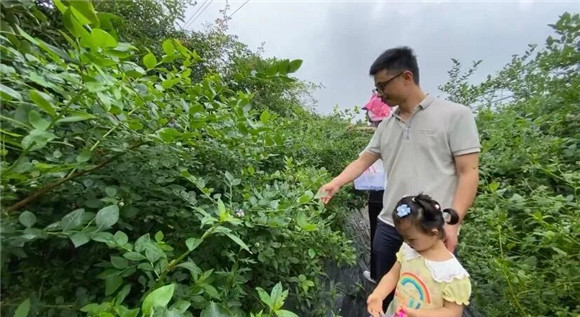 武印峡·蓝莓香园。渝北区文化旅游委供图_副本