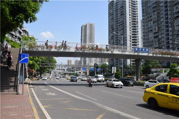 九龙坡区城市管理局市政处在育才中学周边开展市政设施巡查。通讯员 廖庆刚 摄