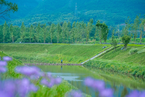 水清岸绿景美（梁滩河3.2公里示范段）。重庆高新区生态环境局 供图
