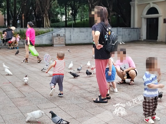 公园门前有许多家长带着小孩喂鸽子。华龙网-新重庆客户端记者 谢鹏飞 摄