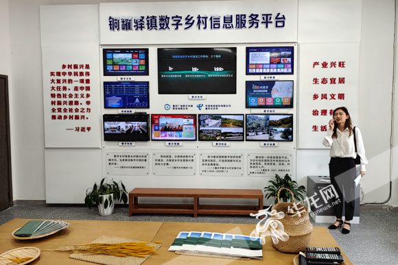 4数字乡村信息办事平台。华龙网-新重庆客户端记者 石涛 摄