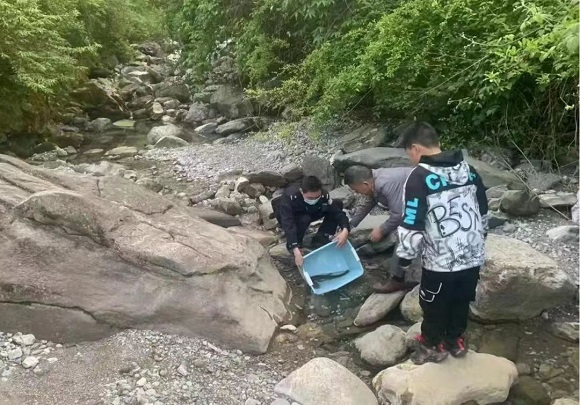 联村民警放生娃娃鱼。城口县委宣传部供图 华龙网发