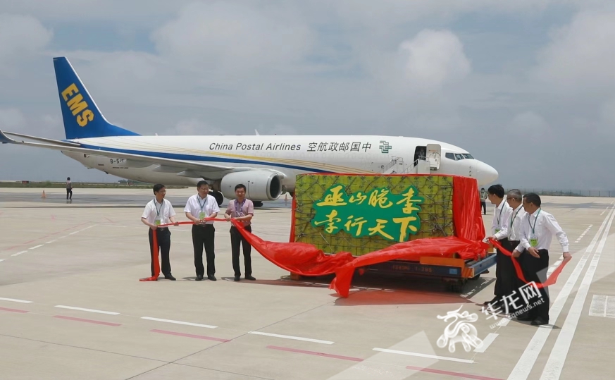 7月2日，巫山县、巫山机场与中国邮政航空公司领导嘉宾启动“巫山脆李”产地直飞项目。华龙网-新重庆客户端记者 张质  摄