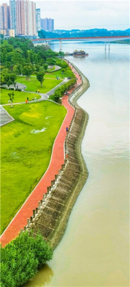 滨江湿地公园步道。记者 欧胜涛 供图