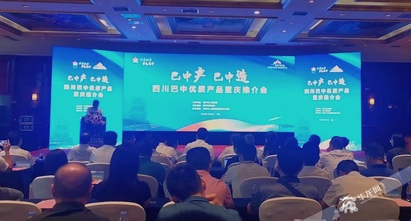 巴中来重庆举行优质产品推介会。华龙网-新重庆客户端记者 王庆炼 摄-2