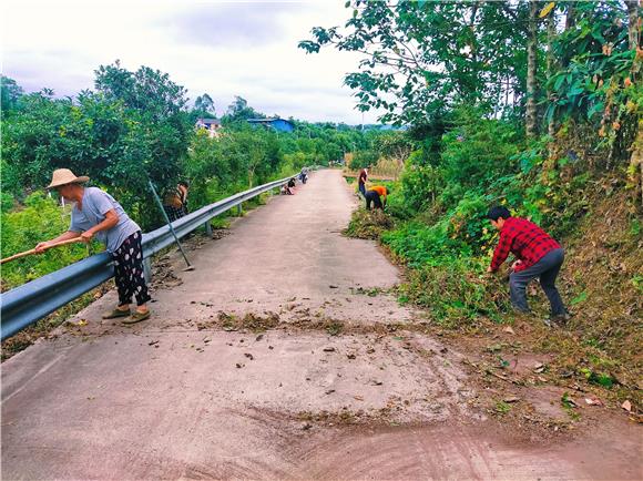 大岚村组织人员对村级公路两侧杂草进行清理。 通讯员 何世龙 摄