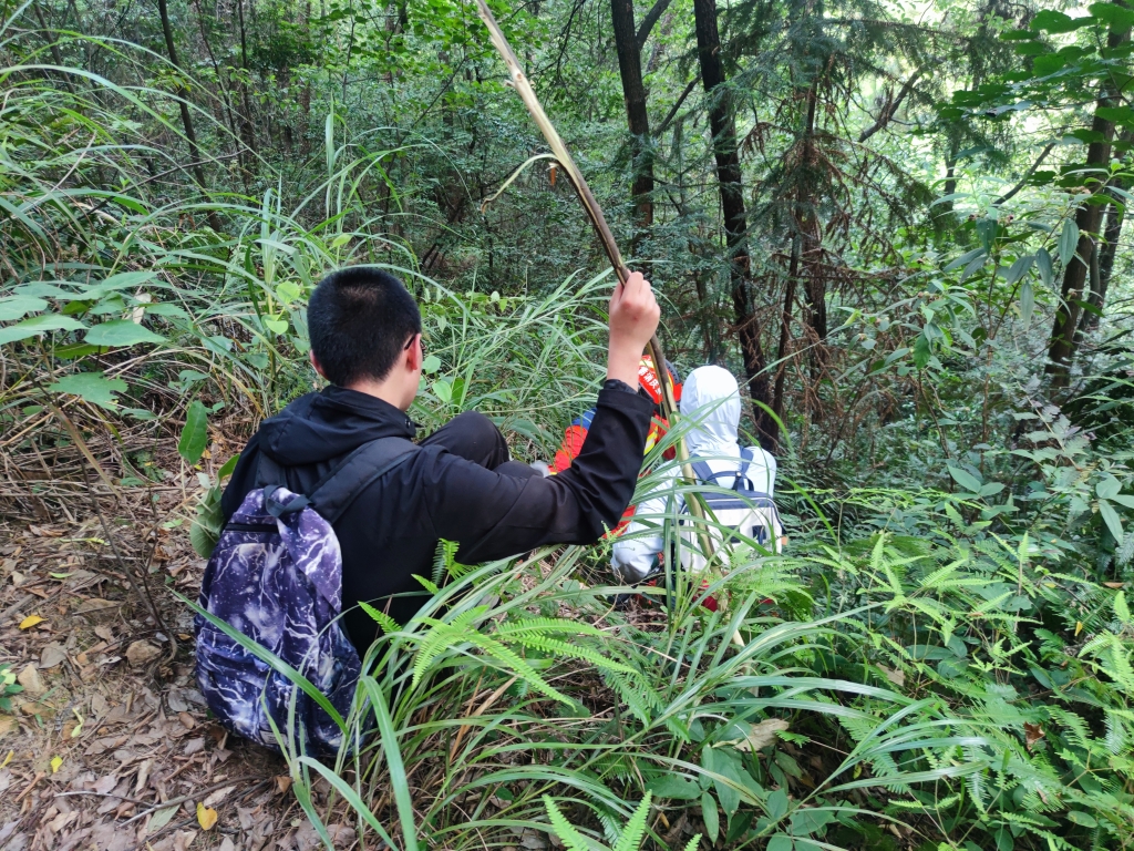 消防员带两名男孩下山。沙坪坝区消防供图